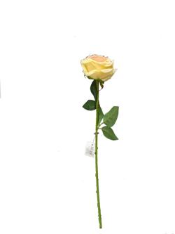 Flor larga 50cm color champan