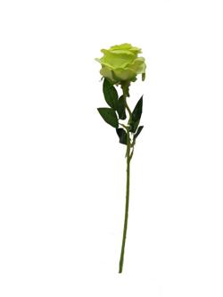 Flor larga 50cm color verde