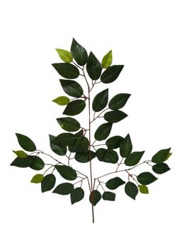 Rama Hoja 65cm color verde