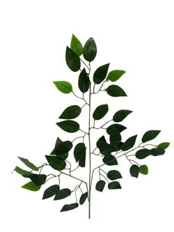 Rama Hoja 65cm color verde