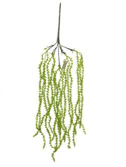 Rama 70cm color verde