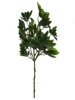 Rama hoja 60cm color verde