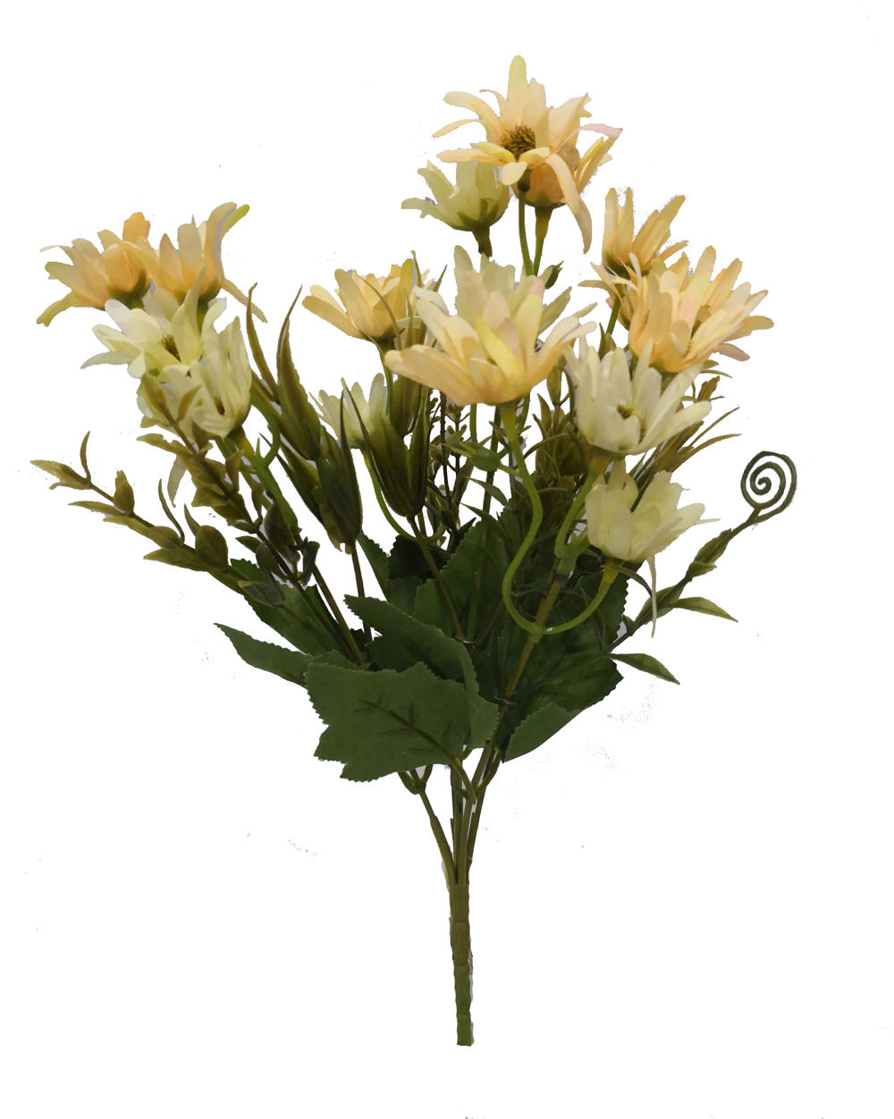 Flor mini xxcm color champan