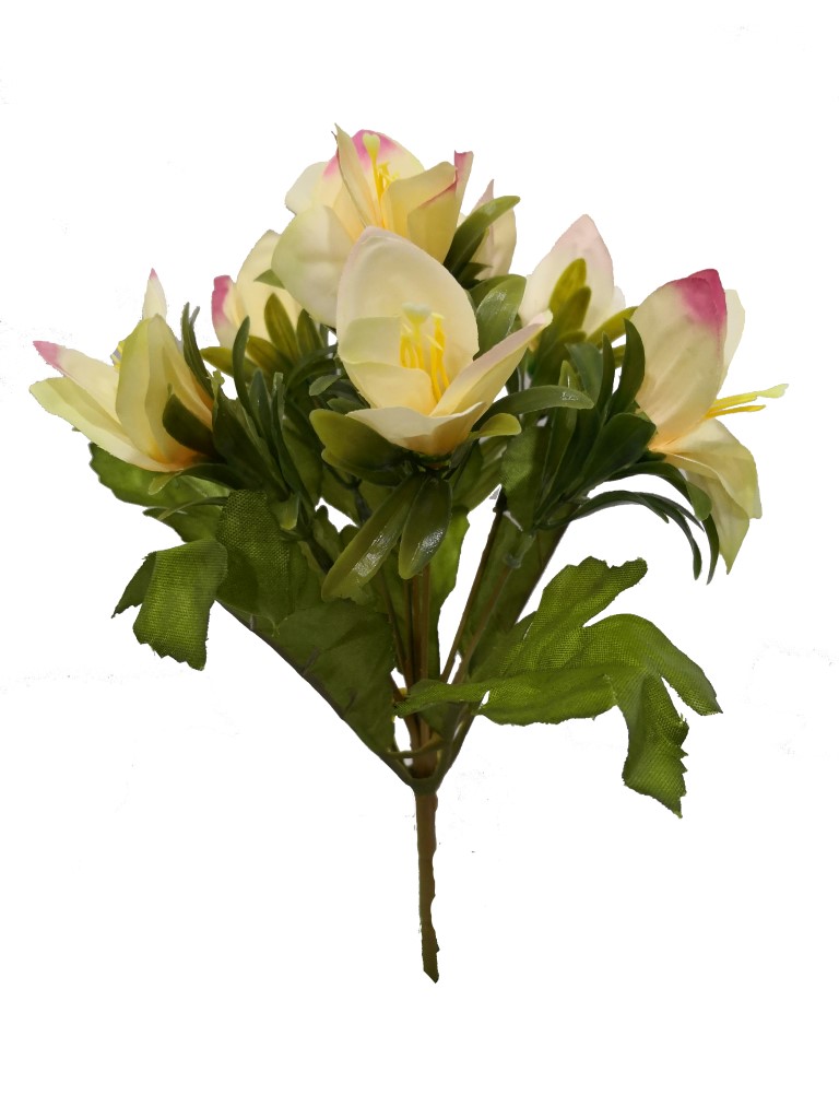 Flor mini 30cm color champan