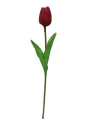 Tulipan 34cm color fucsia