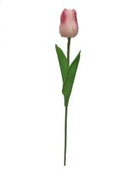 Tulipan 34cm color rosa