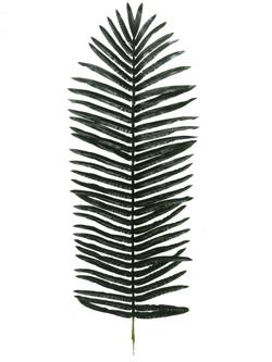 Rama Hoja Palmera 150CM