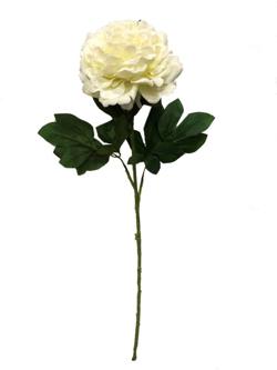 Flor Rosa 78cm color Beige