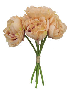 Ramo novia 6/Mudang 30CM color Champan