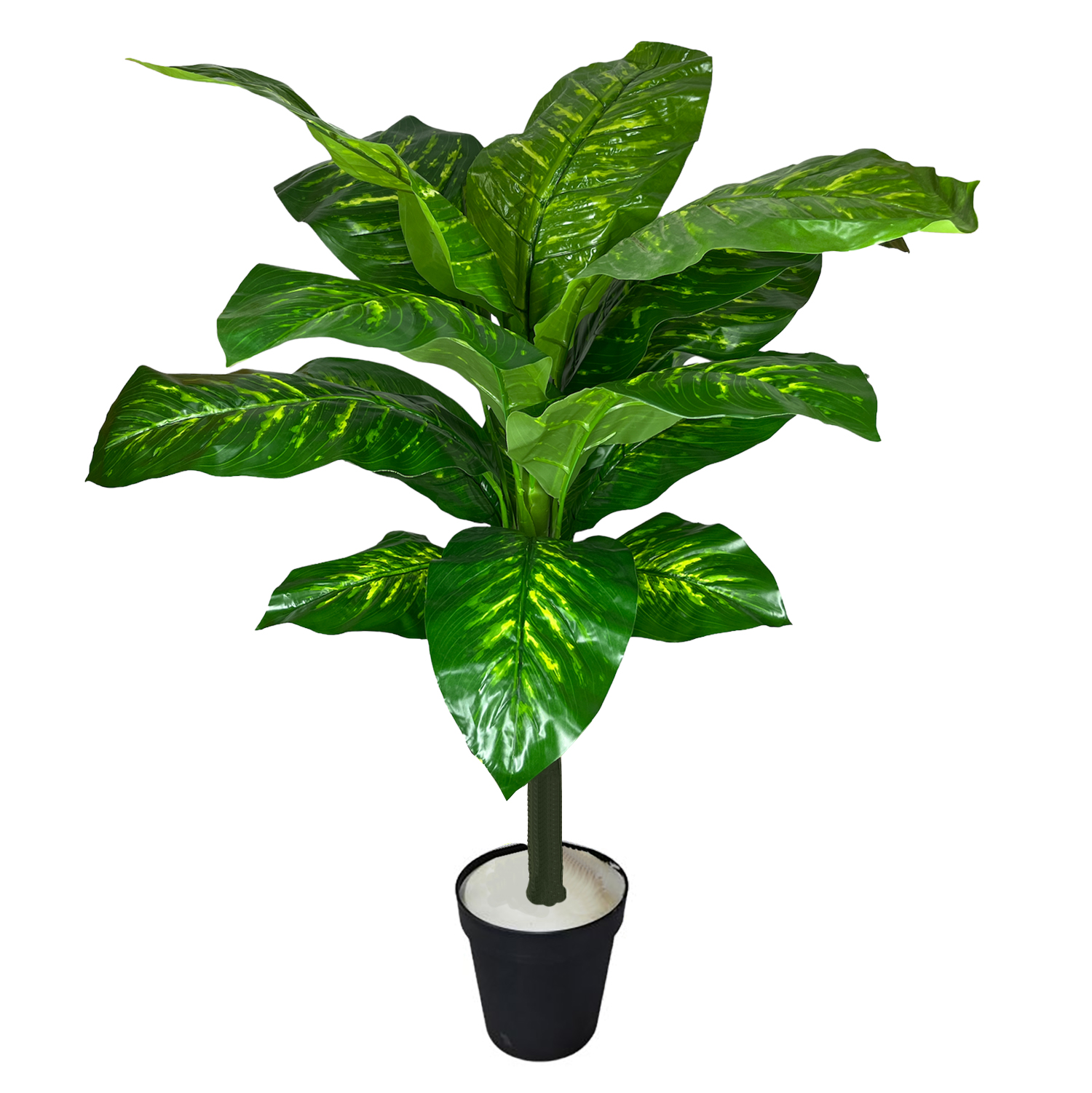 Planta verde 1M