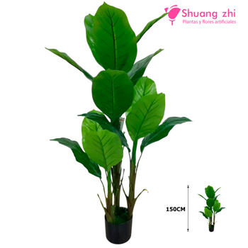 Planta 14/Lubaoshi 1.5M