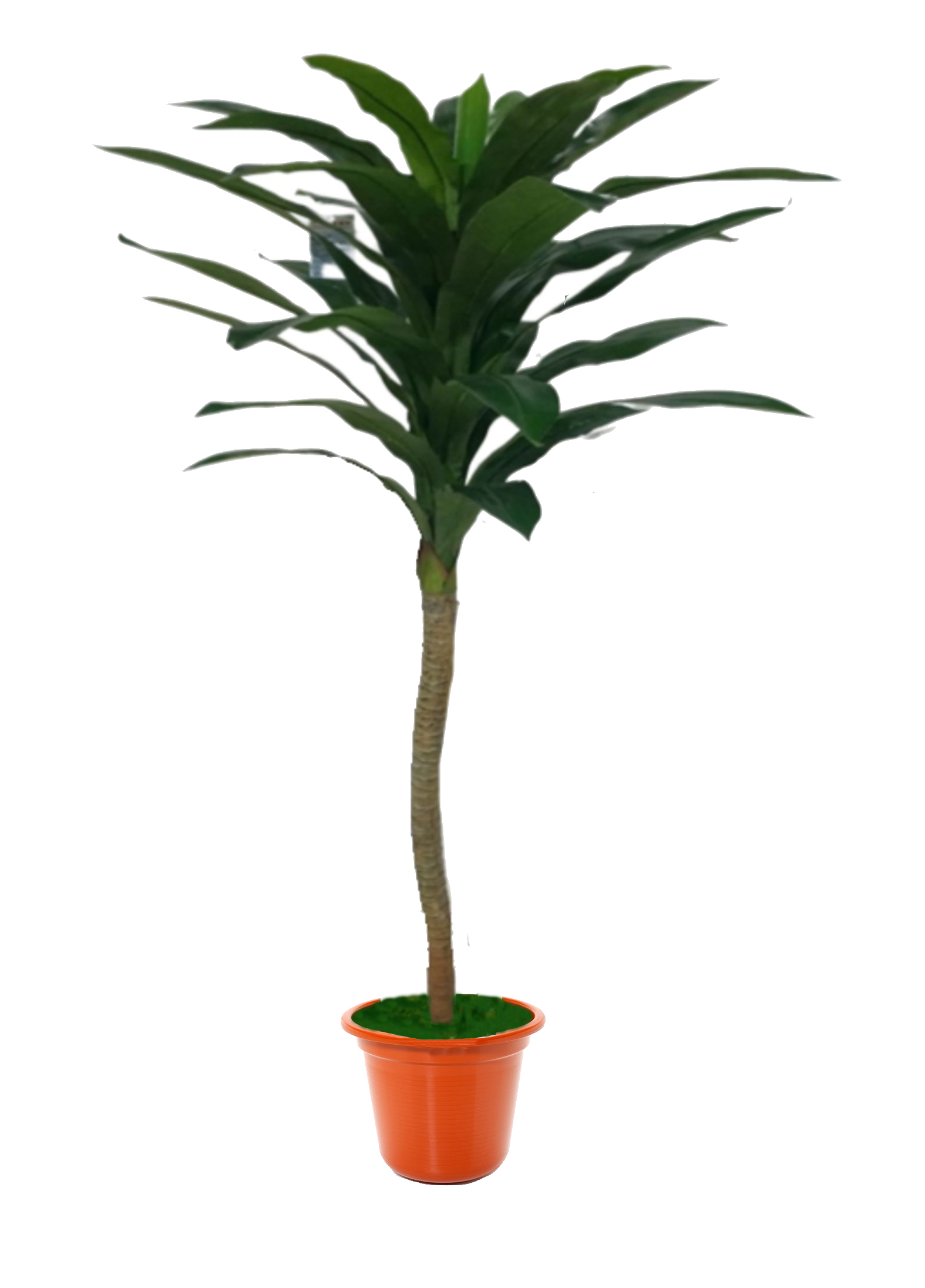 Planta 31/Baxi 1.6M