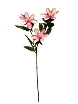 Flor larga 65cm color rosa