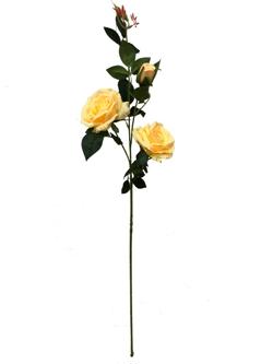 Flor larga 93cm color champan