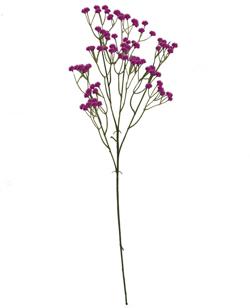 Rama hoja 62cm color fucsia