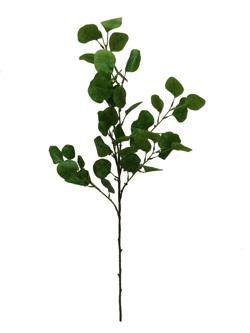 Rama hoja 90cm
