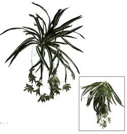 Rama Hoja 58 cm