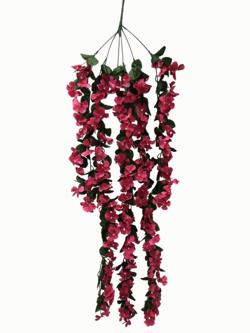 Flor colgar Color Fucsia