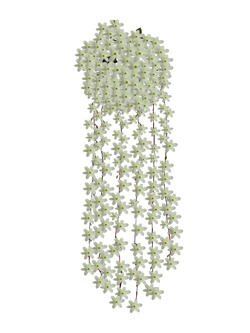Flor colgar Beige