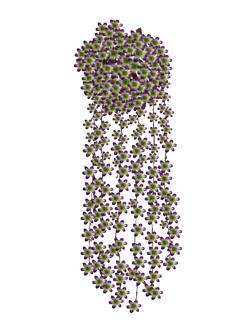 Flor colgar Lila