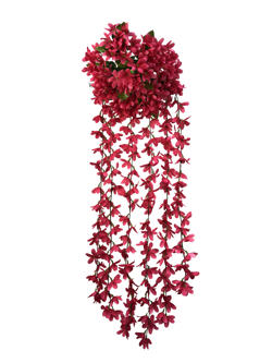 Flor colgar Fucsia
