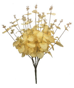 Ramo Ocarito 5/Jinqianye 55CM Beige
