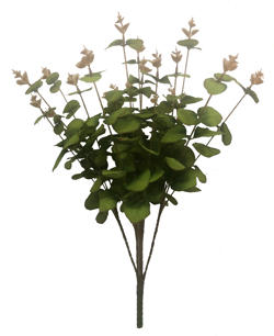 Ramo Ocarito 5/Jinqianye 55CM Verde