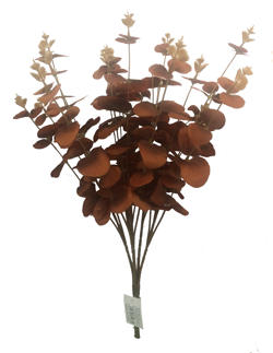 Ramo Ocarito 5/Jinqianye 55CM Marron