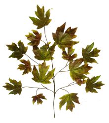 Rama Hoja 75CM REF A