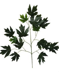Rama Hoja 75CM REF B