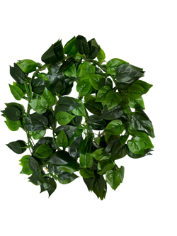 Tira de Hojas 195CM Paquete 12PCS Hoja 1