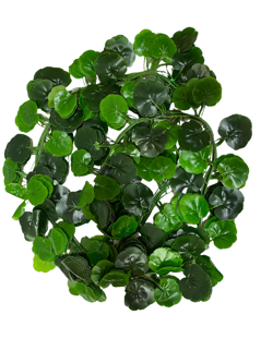 Tira de Hojas 195CM Paquete 12PCS Hoja 2