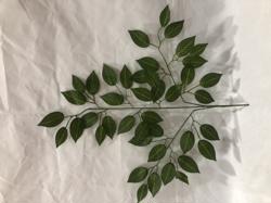 Rama hoja verde