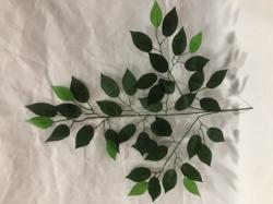 Rama hoja verde