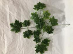 Rama hoja verde