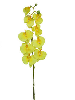 Flor Orquidea 90cm Amarillo