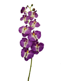 Flor Orquidea 90cm Lila