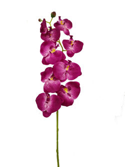 Flor Orquidea 90cm Fucsia