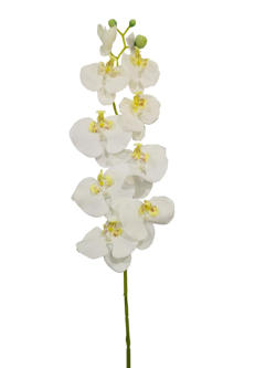 Flor Orquidea 90cm Blanco