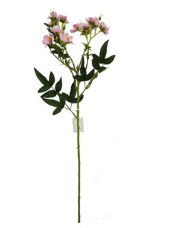 Flor larga 55CM Rosa