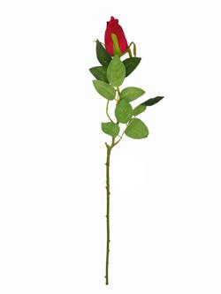 Flor rosa capullo cerrado Rojo