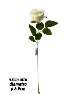 Rosa 50CM color Champan