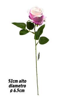 Rosa 50CM color Lila