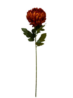 Flor largo Crisantemo 76CM Color Naranja