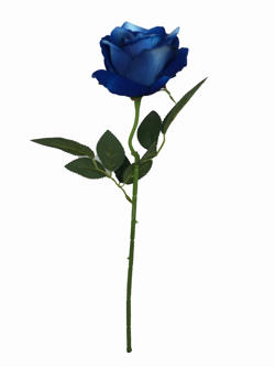 Flor Rosa 52CM Azul