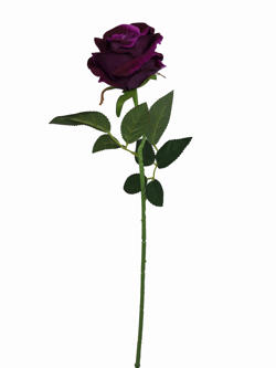 Flor Rosa 52CM Lila