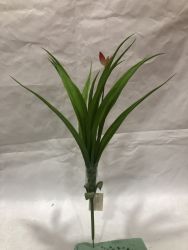 Rama hoja verde xxcm