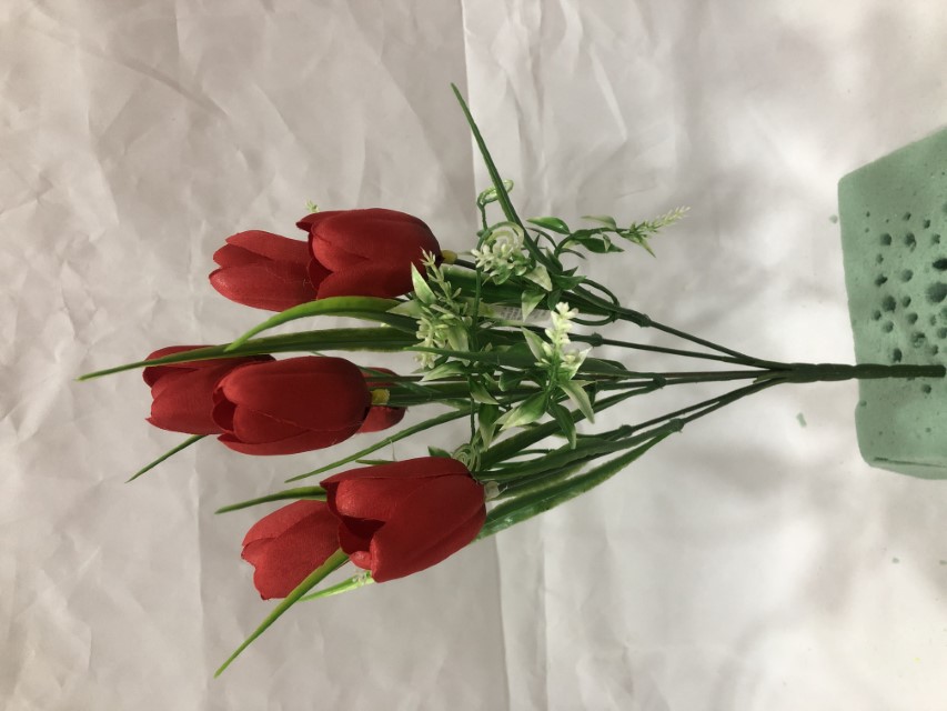 Flor mini tulipan Color Rojo