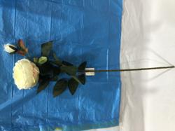 Flor larga Peonia xxcm Color Beige