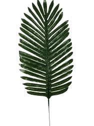 Hoja Palmera 63CM x 27CM Verde